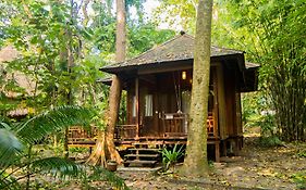 The Barefoot At Havelock